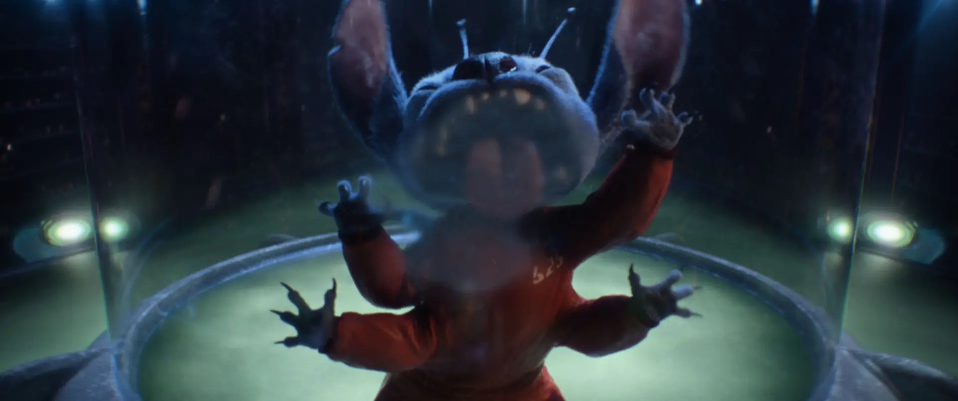 映画「リロ＆スティッチ」の場面カット（C）2025 Disney Enterprises，Inc.All Rights Reserved.